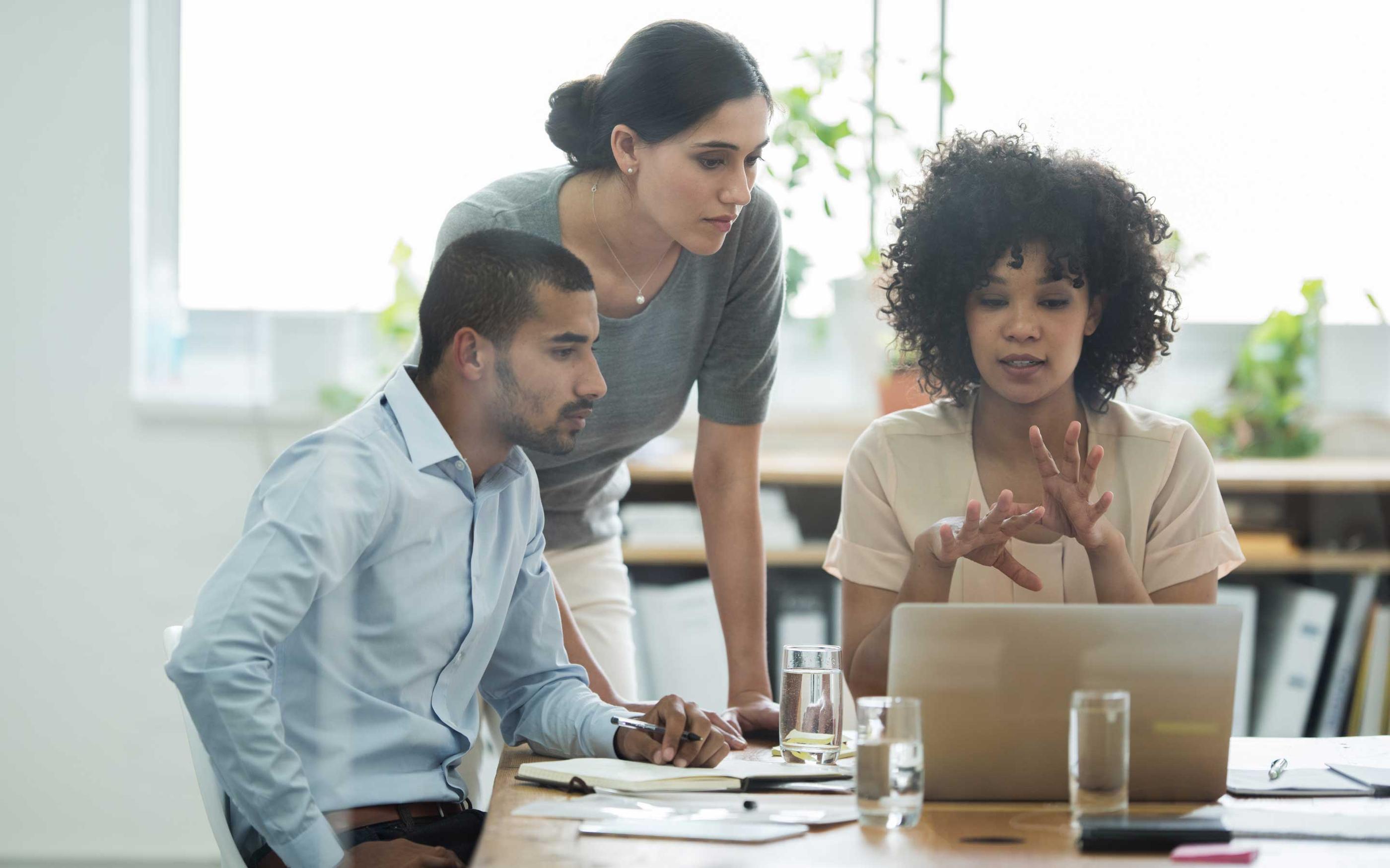 Group of business colleagues meeting