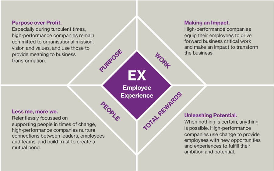 HPEX through transformation across the four pillars: deeper dive