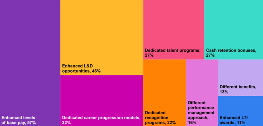 Differentiated Pay and Rewards for Digital Talent