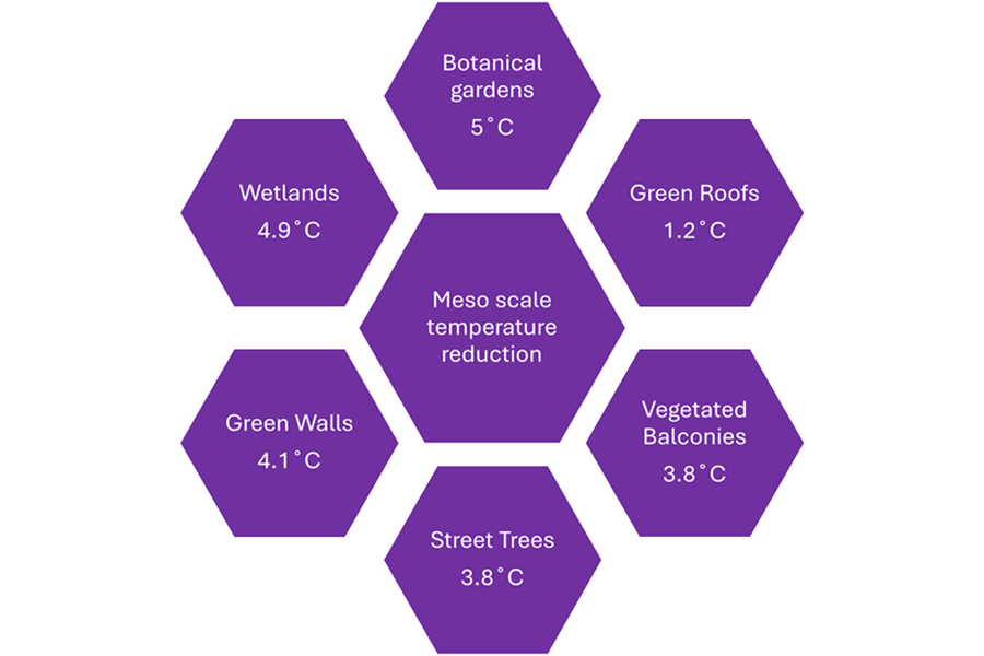 Heat Reduction Pattern City Heat - A role for nature - WTW