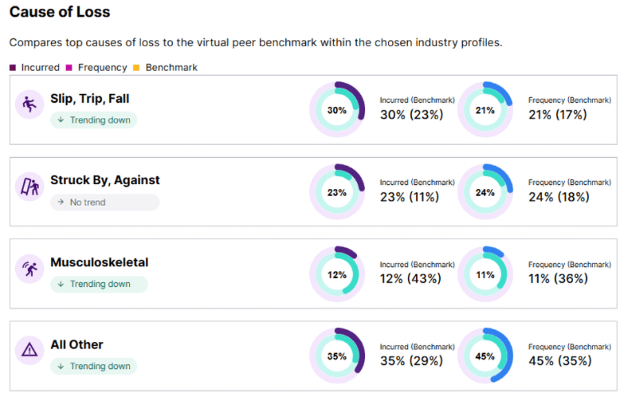 Workers’ Compensation Diagnostic screenshot showing Cause of Loss