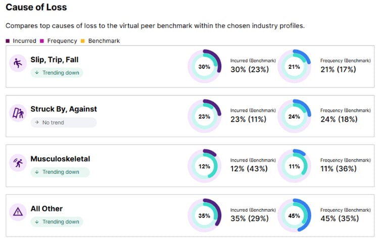 Workers’ Compensation Diagnostic screenshot showing Cause of Loss