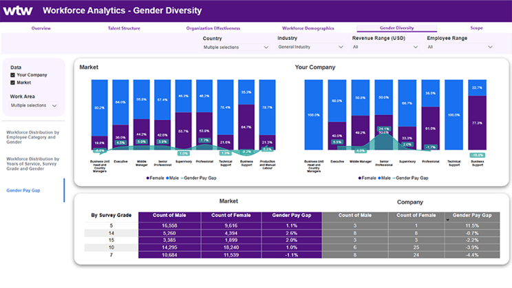 Screenshot of the Workforce Analytics HR Dashboard showing gender pay comparison information available in the tools.