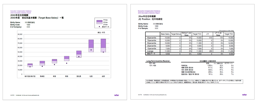 経営者報酬（役員報酬）データベースレポートのサンプルイメージ
